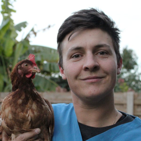 Assistent Eli Pyckevet bij dierenarts Frank Slegers te Tongerlo