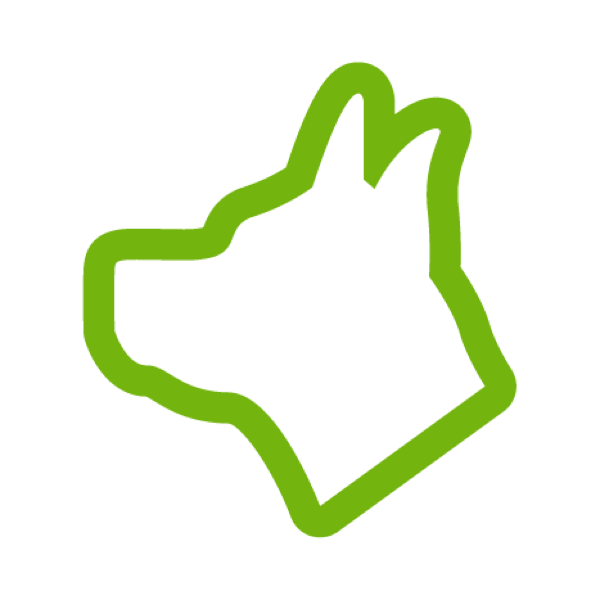 Dog Footer dierenarts Frank Slegers Tongerlo